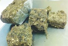 Ações no combate ao tráfico de entorpecentes e latrocínio em Palmas