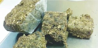 Ações no combate ao tráfico de entorpecentes e latrocínio em Palmas