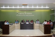 Vereadores de Palmas apresentaram cinco requerimentos e sete indicações na última Sessão
