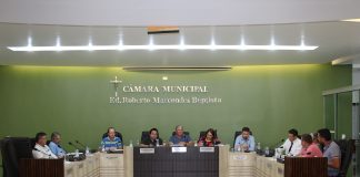Vereadores de Palmas apresentaram cinco requerimentos e sete indicações na última Sessão