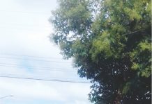 ACIDENTES DE TRÂNSITOS FREQUENTES ASSUSTA MORADORES DO BAIRRO DIVINO EM PALMAS