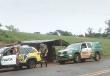 Pinhão colhido sem autorização é apreendido pela Polícia Ambiental