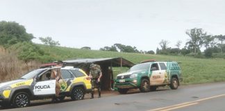 Pinhão colhido sem autorização é apreendido pela Polícia Ambiental