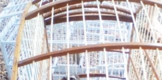 Pássaros silvestres e animal abatido são encontrados em Pato Branco