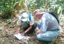 Segunda morte humana por chupacabra é reportada em Honduras