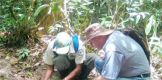 Segunda morte humana por chupacabra é reportada em Honduras