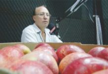 Diretor da ABPM avalia safra da maçã 2018/2019