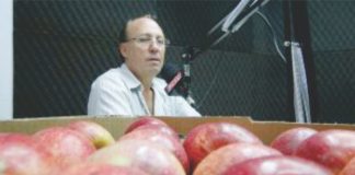 Diretor da ABPM avalia safra da maçã 2018/2019