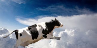Confira o Top 10 das coisas mais loucas que já caíram do céu