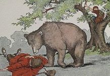 Os viajantes e o urso