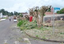A Prefeitura de Palmas, por meio da Secretaria de Infraestrutura,está realizando diversas podas de árvores por toda a cidade.