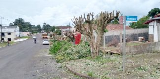A Prefeitura de Palmas, por meio da Secretaria de Infraestrutura,está realizando diversas podas de árvores por toda a cidade.