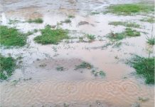 Moradora do Rocio está indignada com o descaso do Poder Público de Palmas