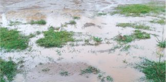 Moradora do Rocio está indignada com o descaso do Poder Público de Palmas