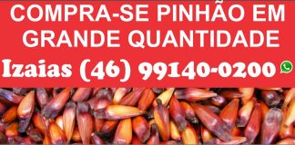 COMPRA-SE PINHÃO EM GRANDE QUANTIDADE!!