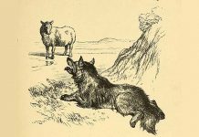 Fábula: “O Lobo e a Ovelha”