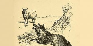 Fábula: “O Lobo e a Ovelha”