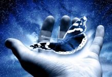 Lição da borboleta