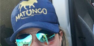 O cavalo  tipo para  Equoterapia