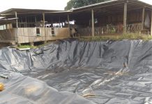 MUNICÍPIO DE MARIÓPOLIS INICIA O PROJETO BOVISUS