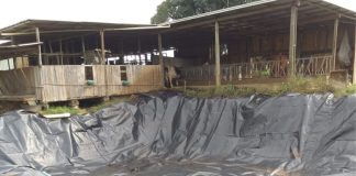 MUNICÍPIO DE MARIÓPOLIS INICIA O PROJETO BOVISUS