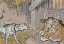 O cachorro na manjedoura