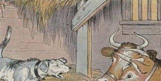 O cachorro na manjedoura