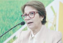 Governo terá R$ 10 bilhões para equalizar taxas no Plano Safra, diz ministra