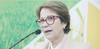 Governo terá R$ 10 bilhões para equalizar taxas no Plano Safra, diz ministra