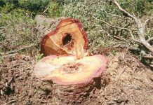 Gaeco denuncia oito por propina e lavagem de dinheiro