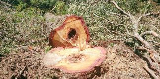 Gaeco denuncia oito por propina e lavagem de dinheiro