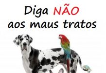 Infratores identificados, caso denunciado à Delegacia de Polícia de Palmas-PR