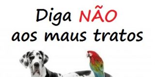 Infratores identificados, caso denunciado à Delegacia de Polícia de Palmas-PR