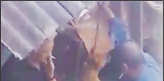 CACHORROS DE RUA – O QUE A ADMINISTRAÇÃO MUNICIPAL DE PALMAS IRÁ FAZER PARA SOLUCIONAR ESTE PROBLEMA? Parte 2