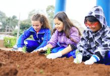 Projeto incentiva alunos da Escola Municipal São Cristóvão a plantarem flores