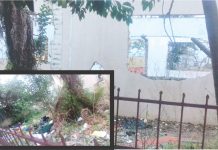 MORADORES PREOCUPADOS COM TERRENO BALDIO NO CENTRO DE PALMAS