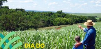 MENSAGEM DIA DO AGRICULTOR