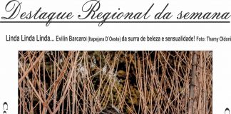 Destaque Regional da semana