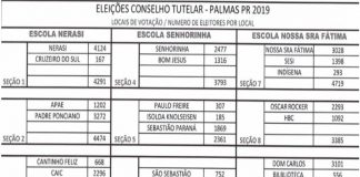CMDCA orienta sobre locais de votação para o Conselho Tutelar de Palmas