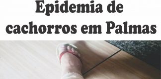 Epidemia de cachorros em Palmas