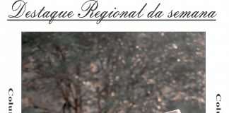 Destaque Regional da semana