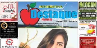 INFORMATIVO DESTAQUE PALMENSE