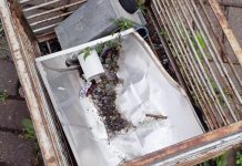 Palmas: Praça do Lagoão novamente é alvo de vandalismo