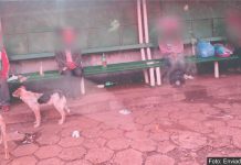 A situação dos moradores de rua na avenida principal de Palmas não chama a atenção da administração pública