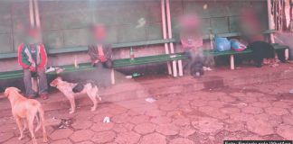 A situação dos moradores de rua na avenida principal de Palmas não chama a atenção da administração pública