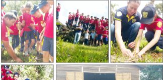 Alunos da Escola Municipal Aurora Tortelli participaram de um Dia de Campo em uma propriedade no interior de CDS