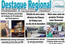 Capa Jornal Destaque Regional 29/11