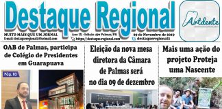 Capa Jornal Destaque Regional 29/11