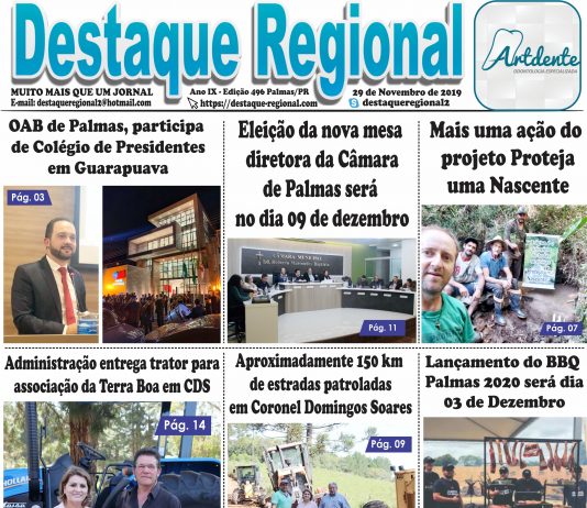Capa Jornal Destaque Regional 29/11