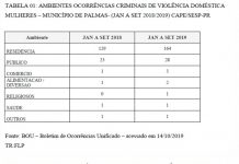 Vereadora Silvana Ribas (MDB), tomou iniciativas para fortalecer, a rede de defesa da mulher palmense!